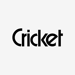 Cricket