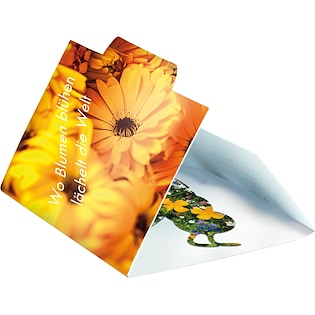 Samenbriefchen Bumble