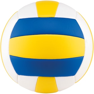 Volleyball Florida