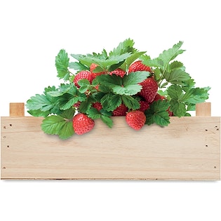 Saattüte Strawberry
