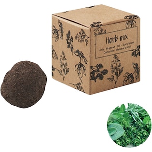 Pflanzenkugeln Clearville